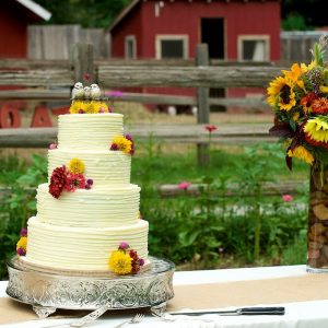 Wedding cake at Lyons Farmette wedding in Lyons, CO